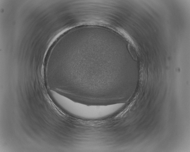 X0000081330932200701251829