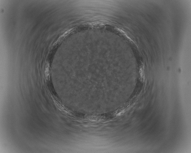 X0000081330963200701251829
