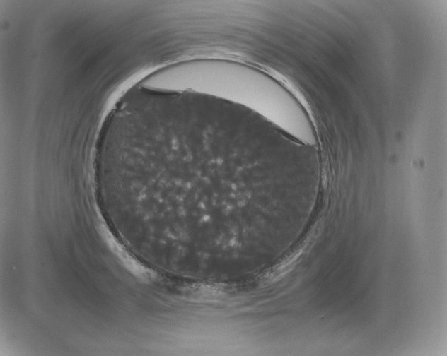 X0000081330995200701251828
