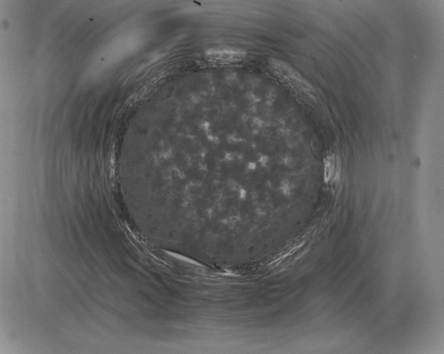 X0000081331011200701251827