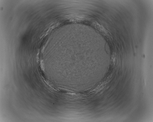 X0000081331012200701251828