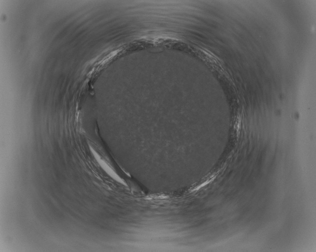 X0000081331014200701251828