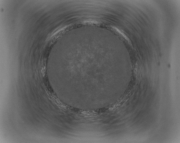 X0000081331015200701251828