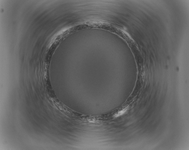X0000081331016200701251828
