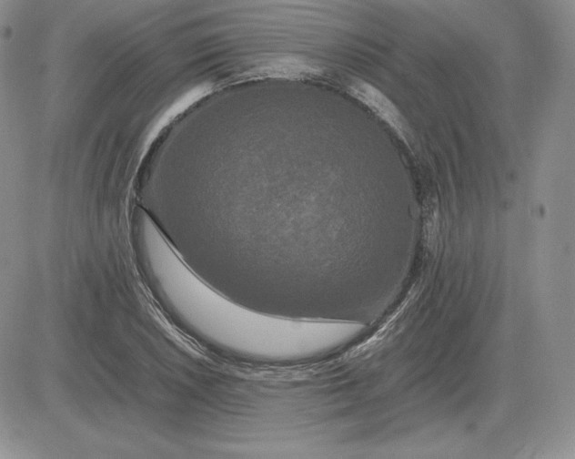 X0000081331026200701251828
