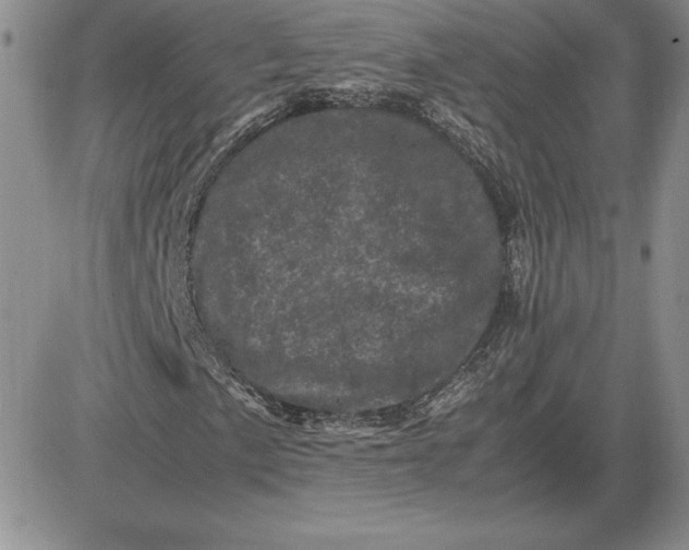 X0000081331057200701251827