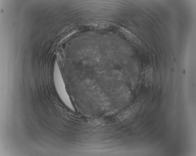 X0000081331058200701251827