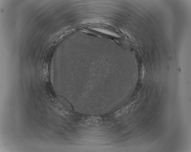 X0000081331062200701251827