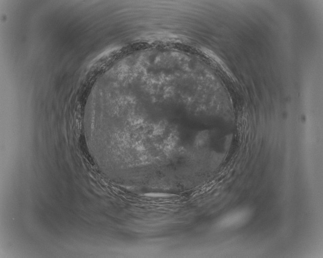 X0000081331063200701251827