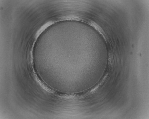 X0000081331082200701251827