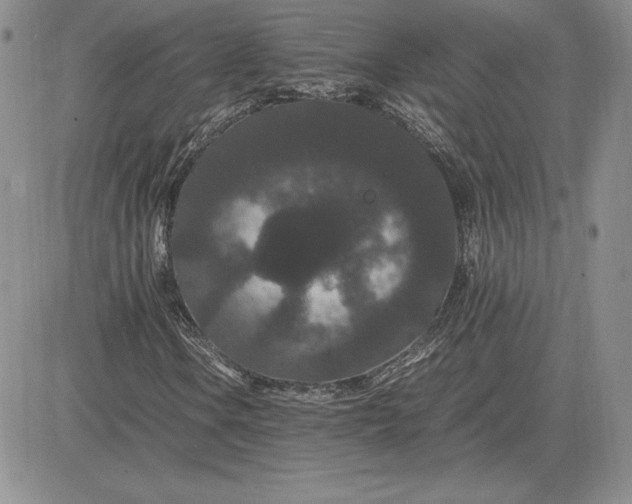 X0000081331106200701251826