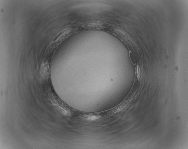X0000081331107200701251826