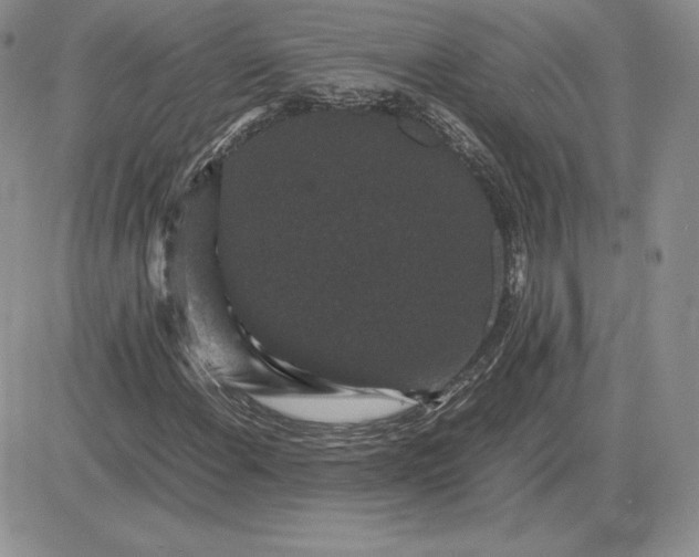 X0000081331108200701251826
