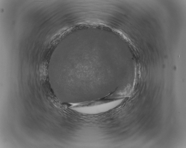 X0000081331110200701251826