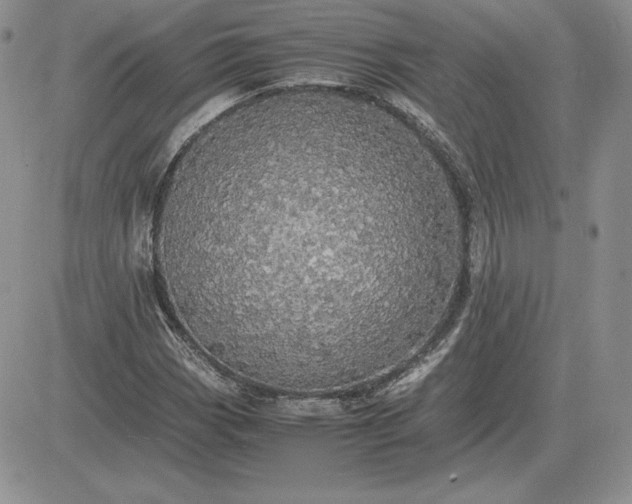 X0000081331113200701251826