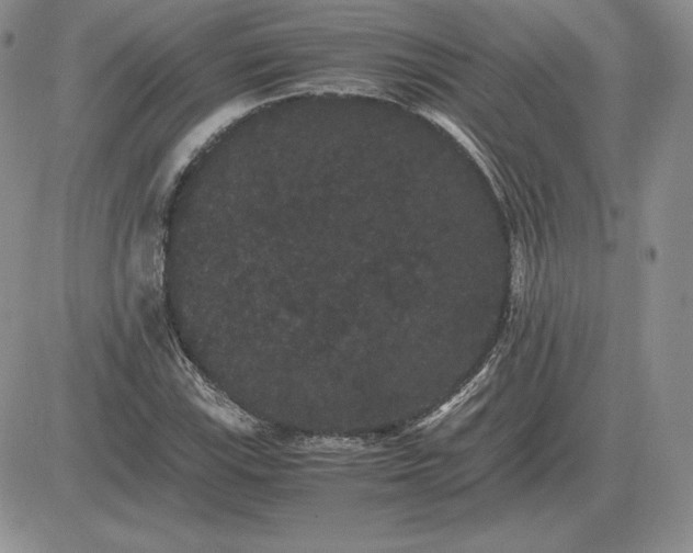 X0000081331115200701251826