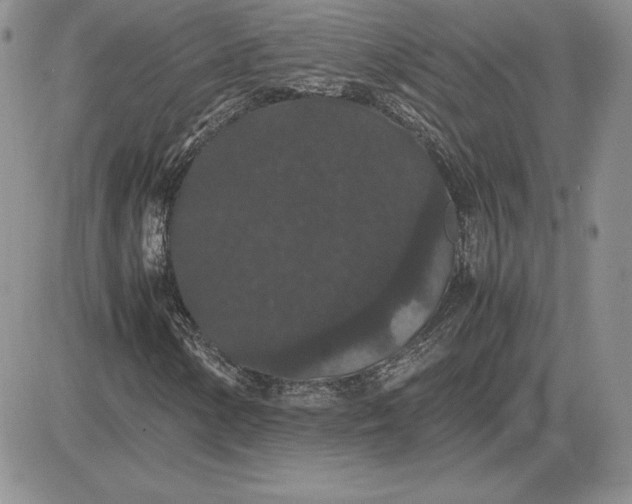 X0000081331154200701251826
