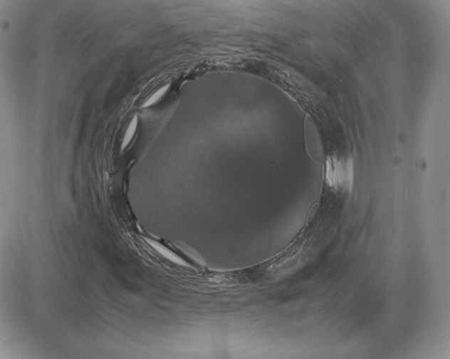 X0000081331155200701251826