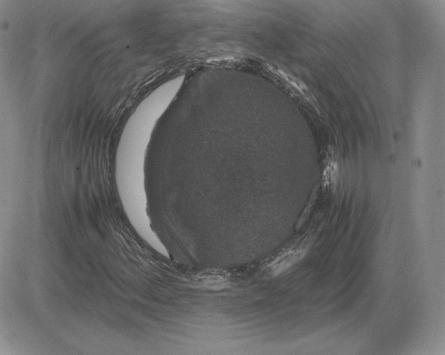 X0000081331156200701251826