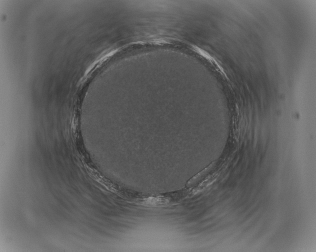 X0000081331160200701251826
