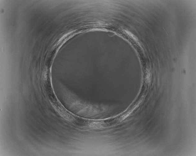 X0000081331161200701251826