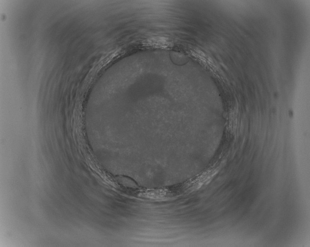 X0000081331201200701251824