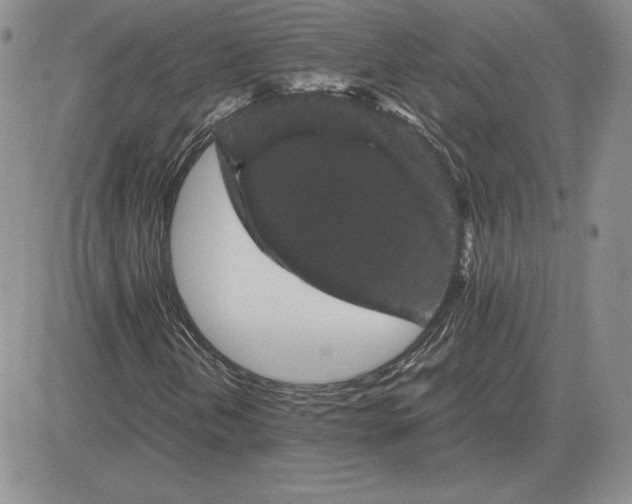 X0000081331202200701251824