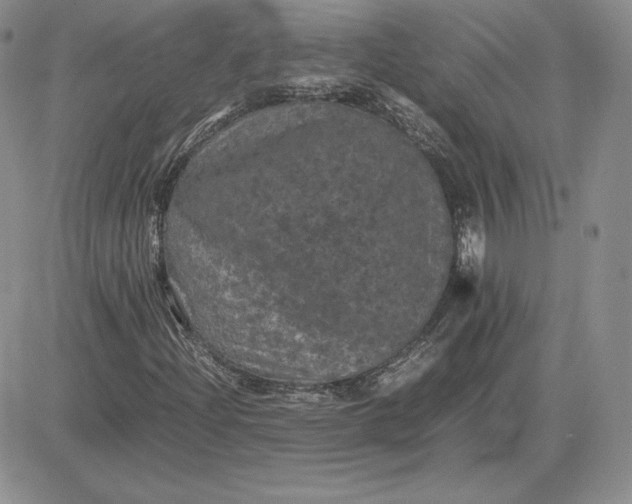 X0000081331204200701251824