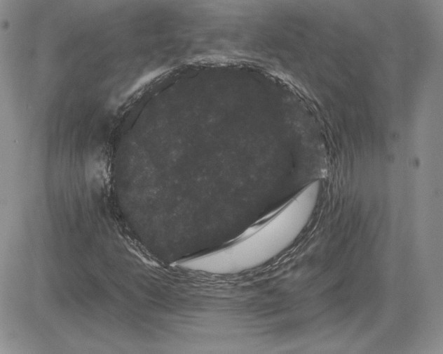 X0000081331206200701251824