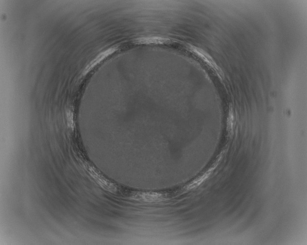 X0000081331209200701251824