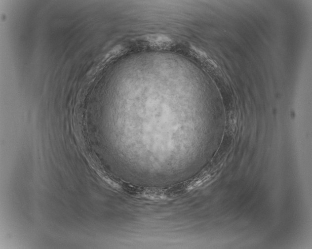 X0000081331249200701251824