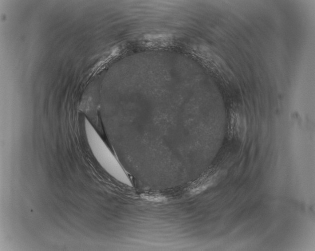 X0000081331250200701251824