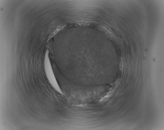 X0000081331298200701251823
