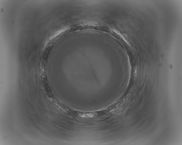 X0000081331303200701251823
