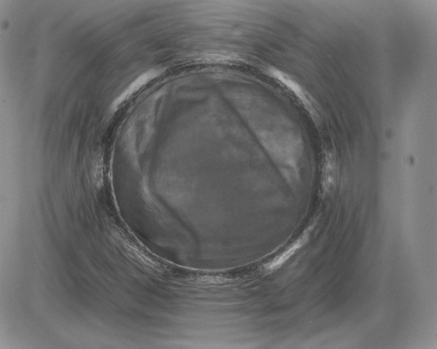 X0000081331306200701251823