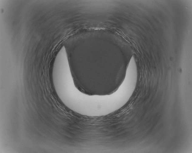 X0000081331393200701251821