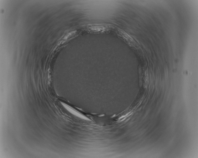 X0000081331394200701251821