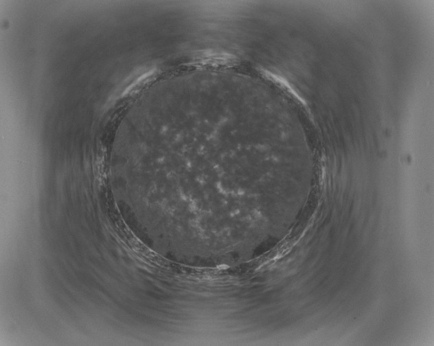 X0000081331399200701251821