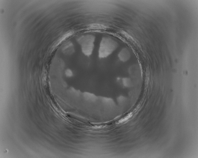 X0000081331401200701251821