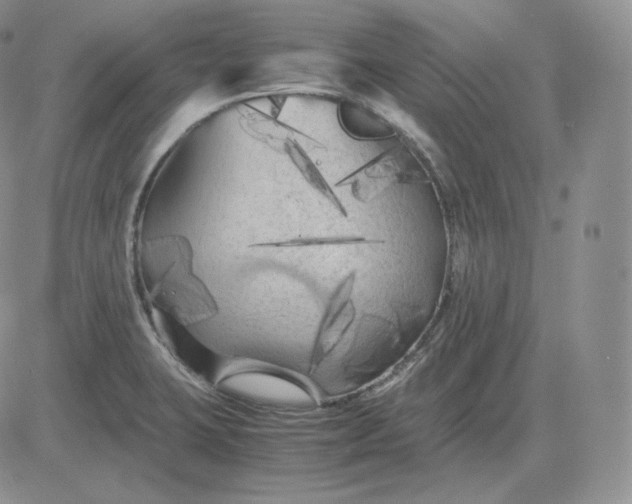 X0000081331423200701251822