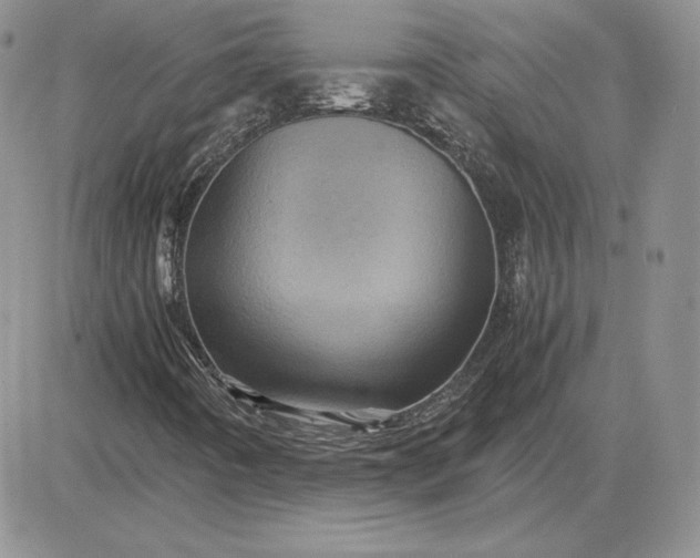 X0000081331442200701251821