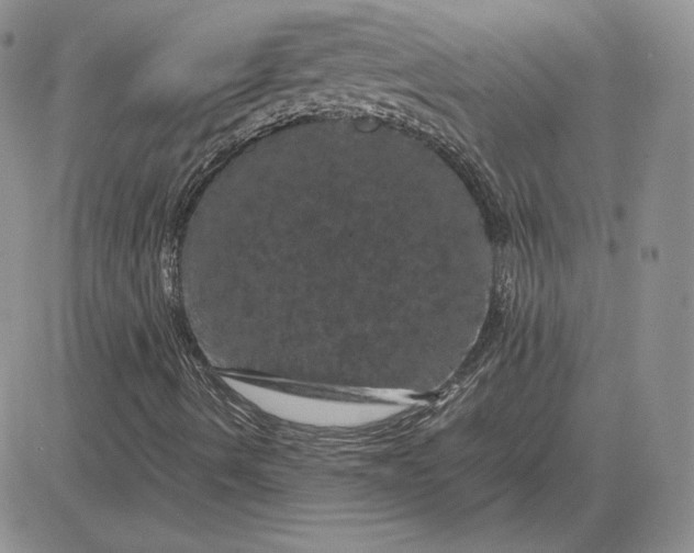 X0000081331490200701251820