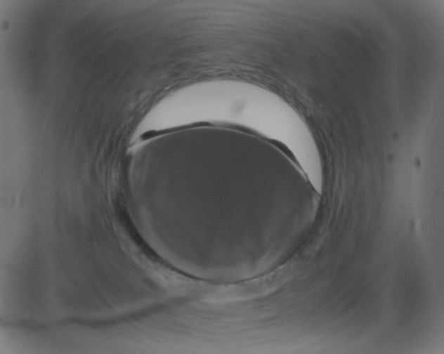 X0000081330039200702020035