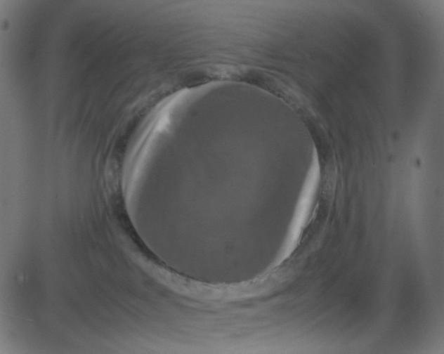 X0000081330043200702020035