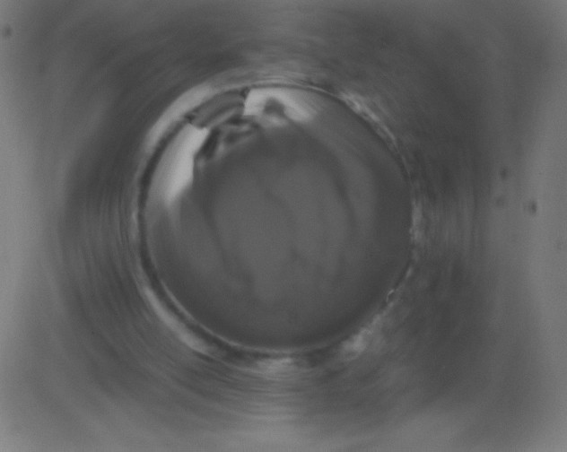 X0000081330054200702020034
