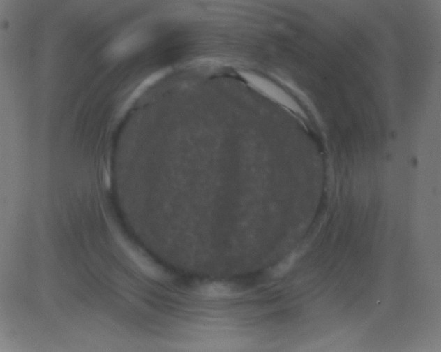 X0000081330062200702020035