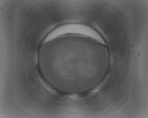X0000081330068200702020035