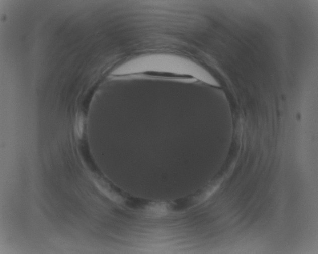 X0000081330076200702020035