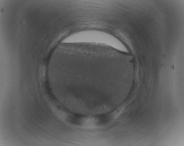 X0000081330115200702020034