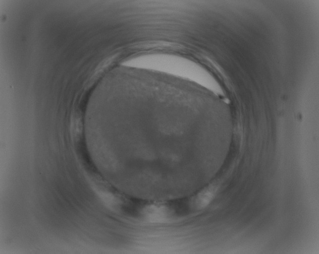X0000081330119200702020034